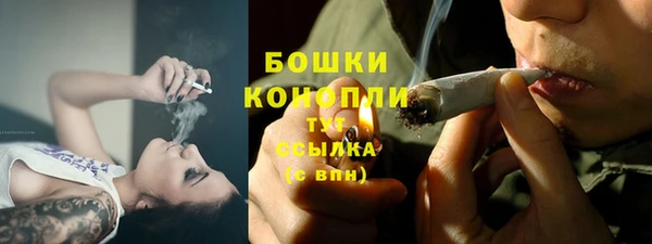 спайс Кострома