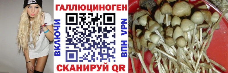 Купить где  Рыльск  Галлюциногенные грибы ЛСД 